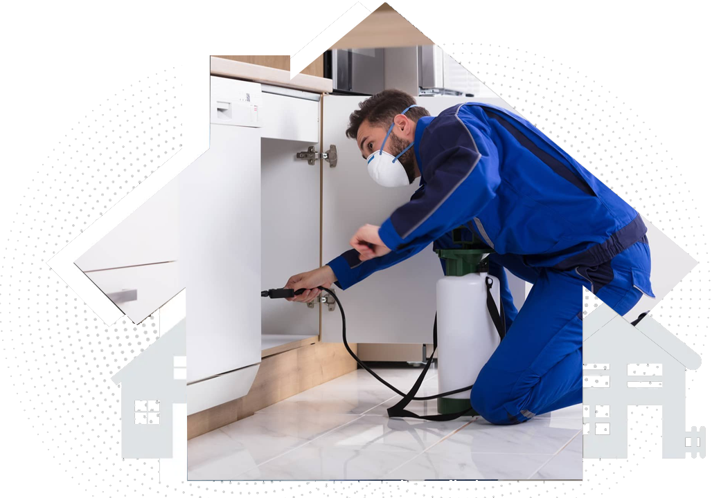 Commercial Pest Control Services